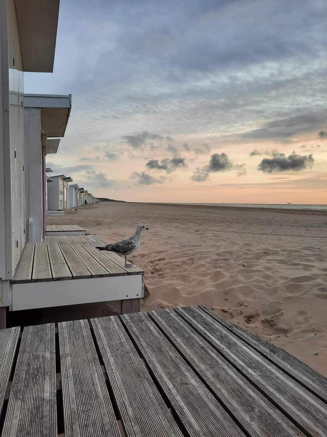 Calais Plage-Gare Appartement Elegant Tout Equipe Exterior foto